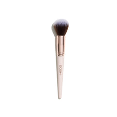 Brushes