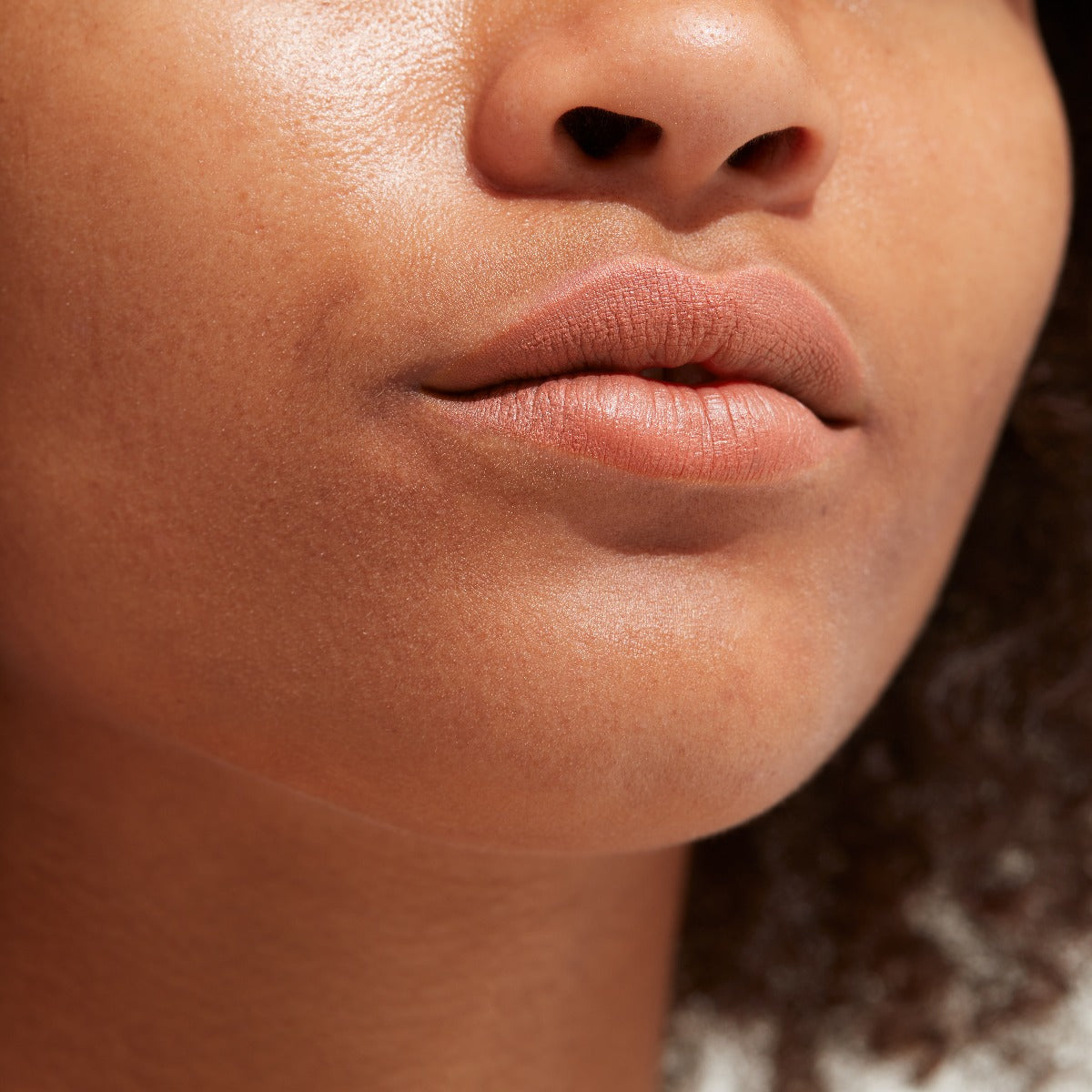 Luxury Nude Lips - 001 Nudity